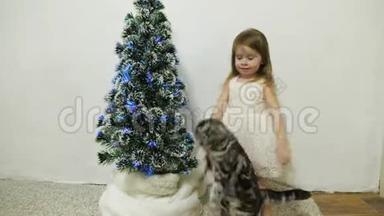 一个小女孩和一只猫在孩子们`房间里的圣诞树附近玩耍。 宝贝和圣诞树。 圣诞节假期